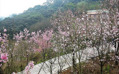照片：「娜兒」BLOG